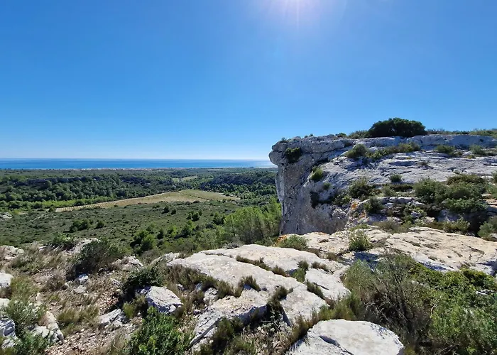 Agreable T2 A 2 Pas De La Plage